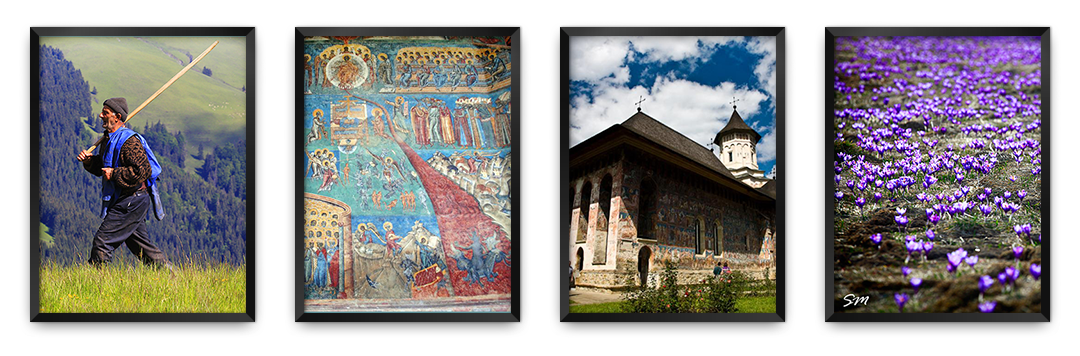 Bucovina Painted Monasteries and more